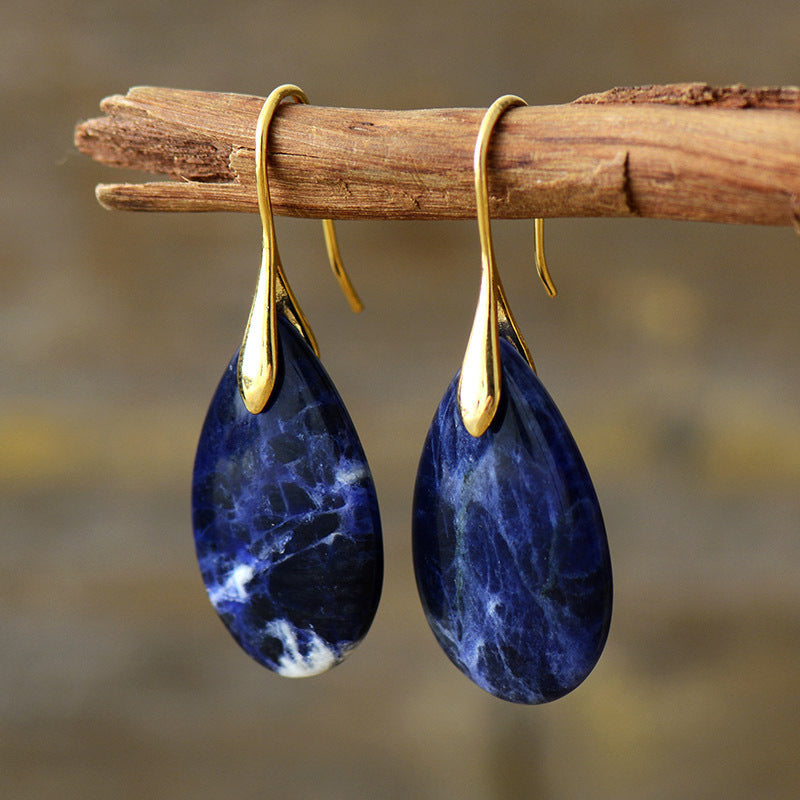 Deep Insight Sodalite Drop Earrings